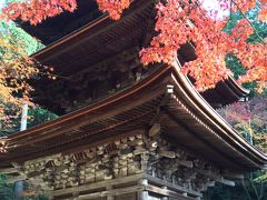 湖東三山の名刹、金剛輪寺。朝方の光が、紅葉の赤を鮮やかに引き立ててくれて。