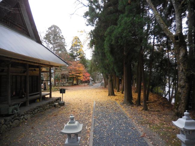 紅葉を堪能したら、湖北ではやはり十一面の観音様を是非拝みたく。向かうは、国宝の渡岸寺観音堂（向源寺）の十一面観音。奥の自動扉が左右に開くと、絶妙の躯体のラインが美しい十一面観世音菩薩像が。見事な造形美に、帰りに写真を購入。その後、鶏足寺の十一面観音や魚藍観音を収める己高閣・世代閣へ。実は、第二期の紅葉期らしく、ここでも紅葉を堪能。野畑、茶畑を抜け鶏足寺を見た後、石道寺にてこの旅を締めくくりました。