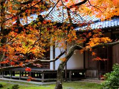 伊勢・志摩観光から京都へ4泊5日のんびり旅（嵐山、苔寺、鈴虫寺）