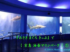 『 みさき まぐろ きっぷ 』 で 【京急 油壺 マリンパーク  】  <・)))>< ①   三崎町  三浦市  神奈川県