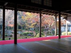 京都・北白川界隈から師走の紅葉