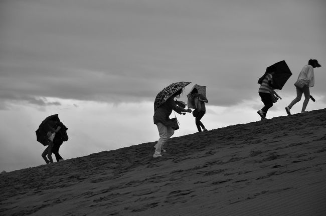 砂丘歩き
