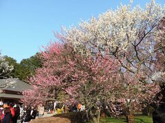 水戸_Mito　この印籠が目に入らぬか！日本三名園の『偕楽園』を抱く徳川家ゆかりの地