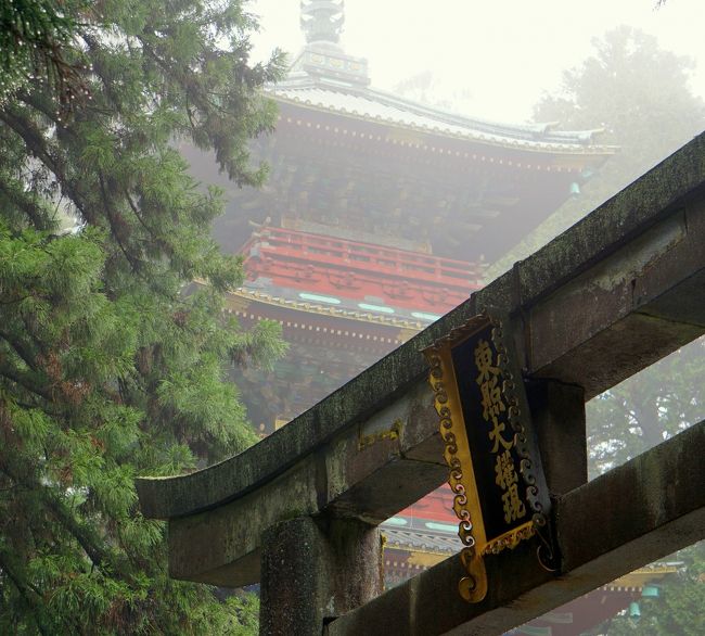 栃木県へ、一泊二日の家族旅行に出掛けた。<br /><br />目指すは日光の世界遺産＆宇都宮周辺の観光と、鬼怒川温泉、プラスちょっとのグルメだ。<br /><br />娘を入れた３人での家族旅行は、昨年の釜山行きに次いで１年振り。<br /><br />明日はミニ世界一周だ。<br /><br />コース<br />　　<br />　佐野厄除け大師−（佐野名物・耳うどん、イモフライ）−日光東照宮<br /><br />　−日光二荒山神社−日光山輪王寺大猷院−鬼怒川温泉