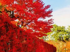 弘前-4　大正浪漫喫茶室（藤田記念庭園洋館内）で　☆アップルパイを賞味