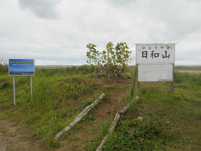 「B級でマイナー」というと失礼かもしれませんが、あまり一般的にメジャーではない観光地も全国にはたくさんあります。<br />今回は、仙台市にある日本一低い山「日和山」をご紹介します。<br />仙台空港へ行くついでに立ち寄ってみました。<br /><br /><br />★「B級でマイナーな観光地」シリーズ<br /><br />荒川ロックゲート(東京)<br />http://4travel.jp/travelogue/10438358<br />鮮魚列車&日本一短い商店街(大阪)<br />http://4travel.jp/travelogue/10420078<br />鹿嶋まつり&鹿島臨海鉄道鹿島臨港線(茨城)<br />http://4travel.jp/travelogue/10623562<br />鳴海球場跡(愛知)<br />http://4travel.jp/travelogue/10416547<br />西寺跡(京都)<br />http://4travel.jp/travelogue/10467065<br />「戸(へ)」のつく街めぐり(青森&岩手)<br />https://ssl.4travel.jp/tcs/t/editalbum/<br />関西電力黒部専用鉄道“上部軌道”(富山)<br />http://4travel.jp/travelogue/10535489<br />嘉穂劇場(福岡)<br />http://4travel.jp/travelogue/10536327<br />遊楽部川の鮭の遡上(北海道)<br />http://4travel.jp/travelogue/10555940<br />石見神社&白鳥城(兵庫)<br />http://4travel.jp/travelogue/10421611<br />西武秩父線のローカル駅(埼玉)<br />http://4travel.jp/travelogue/10441164<br />深谷駅&さきたま古墳&あついぞ!熊谷(埼玉)<br />http://4travel.jp/travelogue/10439881<br />内之浦&宮之城&藺牟田池(鹿児島)<br />http://4travel.jp/travelogue/10470926<br />京都一条妖怪ストリート(京都)<br />http://4travel.jp/travelogue/10565267<br />町田リス園(東京)<br />http://4travel.jp/travelogue/10416970<br />靭(うつぼ)公園(大阪)<br />http://4travel.jp/travelogue/10420097<br />士幌線廃線跡(北海道)<br />http://4travel.jp/traveler/satorumo/album/10440854/<br />氷のトンネル(北海道)<br />http://4travel.jp/travelogue/10606410<br />日本最北のマクドナルド&地吹雪の抜海駅(北海道)<br />http://4travel.jp/travelogue/10431780<br />“ののちゃん”と“タブチくん”のふるさと・玉野(岡山)<br />http://4travel.jp/travelogue/10563273<br />立山砂防軌道&立山カルデラ(富山)<br />http://4travel.jp/travelogue/10533323<br />日本一の長寿村&塩川&喜屋武岬(沖縄)<br />http://4travel.jp/travelogue/10470372<br />伊勢崎西部公園(群馬)<br />http://4travel.jp/traveler/satorumo/album/10723218<br />長浜大橋(愛媛)<br />http://4travel.jp/travelogue/10450812<br />くりはら田園鉄道乗車会(宮城)<br />http://4travel.jp/travelogue/10620825<br />塩田津&八本木宿&浜金屋&筑後川昇開橋(佐賀)<br />http://4travel.jp/travelogue/10468519<br />モエレ沼公園&宮島沼&777段ズリ山階段(北海道)<br />http://4travel.jp/travelogue/10462083<br />河童の里(福岡)<br />http://4travel.jp/travelogue/10478346<br />有田川町鉄道公園(和歌山)<br />http://4travel.jp/travelogue/10606420<br />小さい鳥居と愛野駅(長崎)<br />http://4travel.jp/travelogue/10520959<br />日本列島公園(愛知)<br />http://4travel.jp/travelogue/10472030<br />エキスポカフェ(大阪)<br />http://4travel.jp/traveler/satorumo/album/10561367/<br />吉野家ひめゆり通り店(沖縄)<br />http://4travel.jp/traveler/satorumo/album/10474837/<br />深泥池(京都)<br />http://4travel.jp/traveler/satorumo/album/10482981/<br />おっぱい観音&ち○こ神社&ま○こ神社(愛知)<br />http://4travel.jp/traveler/satorumo/album/10467364/<br />おっぱい神社&石のかざぐるま(岡山)<br />http://4travel.jp/traveler/satorumo/album/10467364/<br />赤川仮橋(大阪)<br />http://4travel.jp/traveler/satorumo/album/10465150/<br />立体交差する川&日本最古の油田跡(新潟)<br />http://4travel.jp/traveler/satorumo/album/10431152/<br />松尾鉱山跡(岩手)<br />http://4travel.jp/traveler/satorumo/album/10468179/<br />炭鉱の島・池島(長崎)<br />http://4travel.jp/traveler/satorumo/album/10471632/<br />アンモナイト&トロッコ(北海道)<br />http://4travel.jp/traveler/satorumo/album/10486376/ <br />スウェーデンヒルズ(北海道)<br />http://4travel.jp/traveler/satorumo/album/10487107/<br />白石川白鳥飛来地(宮城)<br />http://4travel.jp/traveler/satorumo/album/10518997/<br />沖縄県人の街(大阪市大正区)<br />http://4travel.jp/traveler/satorumo/album/10524096/ <br />桃太郎神社(愛知)<br />http://4travel.jp/traveler/satorumo/album/10532980/ <br />県下唯一の村・大衡村(宮城)<br />http://4travel.jp/traveler/satorumo/album/10562157/<br />東急東横線の廃線跡めぐり(神奈川)<br />http://4travel.jp/traveler/satorumo/album/10636836/<br />http://4travel.jp/traveler/satorumo/album/10645445<br />珈琲園ぶらじる(東京)<br />http://4travel.jp/traveler/satorumo/album/10683513/<br />鉄道ファンの聖地“ナイアガラ”(東京)<br />http://4travel.jp/traveler/satorumo/album/10697557/<br />http://4travel.jp/travelogue/10971520<br />大和駐屯地56周年記念行事(宮城)<br />http://4travel.jp/traveler/satorumo/album/10717128/<br />大和町の祭り「島田飴まつり」(宮城)<br />http://4travel.jp/traveler/satorumo/album/10754350/<br />http://4travel.jp/traveler/satorumo/album/10637868/ <br />“まほろば”の街・大和町(宮城)<br />http://4travel.jp/traveler/satorumo/album/10576613/<br />大和町の祭り「輪くぐり」(宮城)<br />http://4travel.jp/traveler/satorumo/album/10589009/<br />大和町の祭り「やぶさめ」(宮城)<br />http://4travel.jp/traveler/satorumo/album/10613094<br />スリランカセンター(宮城)<br />http://4travel.jp/traveler/satorumo/album/10787912/<br />奥羽本線スイッチバック跡「大沢駅&峠駅&板谷駅」(山形)<br />http://4travel.jp/traveler/satorumo/album/10794623/<br />奥羽本線スイッチバック跡「赤岩駅」(福島)<br />http://4travel.jp/traveler/satorumo/album/10797881<br />あくねツーリングSTAYtion(鹿児島)<br />http://4travel.jp/traveler/satorumo/album/10827924/<br />ブルートレインたらぎ(熊本)<br />http://4travel.jp/traveler/satorumo/album/10835575<br />多磨霊園(東京)<br />http://4travel.jp/travelogue/10857817<br />薬師公園(岩手)<br />http://4travel.jp/travelogue/10892441<br />JICA地球ひろばでネパール料理(東京)<br />http://4travel.jp/travelogue/10899446<br />鶴亀屋食堂(青森)<br />http://4travel.jp/travelogue/10922752<br />高輪橋架動橋(東京)<br />http://4travel.jp/travelogue/10944478<br />山道国道(福島)<br />http://4travel.jp/travelogue/10437982<br />日本一短い川「ぶつぶつ川」(和歌山)<br />http://4travel.jp/traveler/satorumo/album/10415707/<br />日本一寒い街「美深」(北海道)<br />http://4travel.jp/travelogue/10432285<br />宇宙村(東京)<br />http://4travel.jp/travelogue/11020775<br />讃岐うどん 條辺(埼玉)<br />http://4travel.jp/travelogue/10860967<br />京都激辛商店街(京都)<br />http://4travel.jp/travelogue/11047202<br />神田一安い居酒ヤ「とうきょう」(東京)<br />http://4travel.jp/travelogue/11053874<br />東急東横線の廃線跡めぐり(東京)<br />http://4travel.jp/travelogue/10899445<br />小田急小田原線の廃線跡めぐり(東京)<br />http://4travel.jp/travelogue/10912625<br />東京大仏&植村冒険館&水車公園&竹の子公園(東京)<br />http://4travel.jp/travelogue/11069939<br />北見ハッカ記念館&JR金華駅(北海道)<br />http://4travel.jp/travelogue/11072666<br />ほたるの里童謡公園(長野)<br />http://4travel.jp/travelogue/11080024<br />日本一低い山“日和山”(宮城) <br />http://4travel.jp/travelogue/11084412<br />エコポリスセンター&熱帯環境植物館&リサイクルプラザ(東京)<br />http://4travel.jp/travelogue/11085240<br />日本で海岸線から一番遠い地点(長野)<br />http://4travel.jp/travelogue/11096788<br />すぎなみ知る区ロード(東京)<br />http://4travel.jp/travelogue/11105158<br />東峰神社(千葉)<br />http://4travel.jp/travelogue/11112662<br />すなば珈琲(鳥取)<br />http://4travel.jp/travelogue/11124525<br />くりでんレールバイク&長沼ボート場&羽黒山公園(宮城)<br />http://4travel.jp/travelogue/11191527<br />小坂鉄道レールパーク(秋田)<br />http://4travel.jp/travelogue/11202348<br /><br />★日本一シリーズ<br /><br />日本一短い川「ぶつぶつ川」<br />http://4travel.jp/traveler/satorumo/album/10415707/<br />日本一長い石段「釈迦院」<br />http://4travel.jp/traveler/satorumo/album/10433367/<br />日本一寒い街「音威子府」<br />http://4travel.jp/traveler/satorumo/album/10432285/<br />日本一低い山「大潟富士」<br />http://4travel.jp/traveler/satorumo/album/10467702/<br />日本一低い山「御山」<br />http://4travel.jp/traveler/satorumo/album/10470626/<br />日本一低い山「弁天山」<br />http://4travel.jp/traveler/satorumo/album/10472386/<br />日本一低い山「日和山」<br />http://4travel.jp/travelogue/11084412