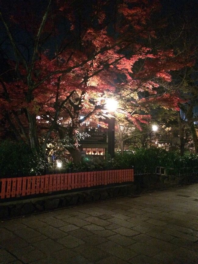 夕方から突然の思いつきで京都へ。<br /><br />祇園の『ワンラヴ』でハワイアンライブを楽しんだあと、祇園界隈を散歩しました。<br />途中、「しんこ」と「壹銭洋食」をたべました。祇園の辺りは行った事があるのですが、どちらも初めてでした。<br /><br />「しんこ」は南座前の『祇園饅頭』さんの看板商品だそうです。<br />名前の由来は米の粉(真粉)で作られるからだそうです。<br />味が何種類かあるみたいですが、今回はニッキ味を選びました。<br />食感は「ういろ」のような感じで、甘さの中に濃いめのニッキの味が広がって美味しかったです。<br />今度は違う味に挑戦してみたいと思います。<br /><br /><br />『壹銭洋食』は、ズバリお好み焼きですね。中に天かすや味付けしたコンニャクが入っています。最初からソースがしっかりかかっています。今回は車でしたので、次回はビールを飲みながらいただきたいと思います。<br /><br />今度は朝からゆっくり京都行きたいと思います。<br />