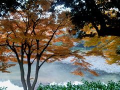 横浜の紅葉　２０１５　三ッ池公園