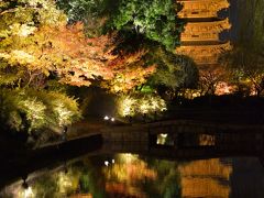 2015　秋の京都 三日目 4 最終章　東寺ライトアップ