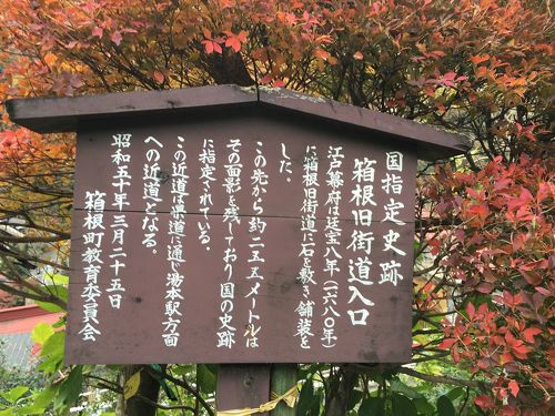 箱根旧街道。廃墟、ヤマネコ、獣道、、、』神奈川県の旅行記・ブログ