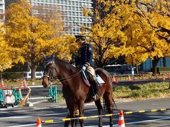 １２月のお江戸で紅葉狩り？　４