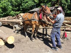 ROMANIA15 マラムレシュ地方のスルビ村、ブデスティ村 Sarbi,Budesti