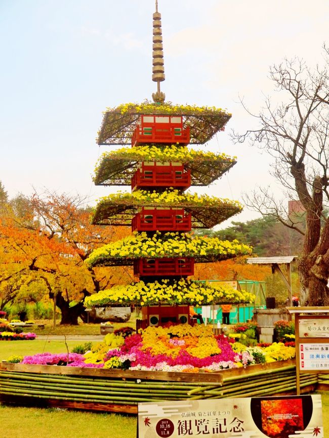 弘前公園内・弘前城植物園を舞台に｢弘前城菊と紅葉まつり｣が行われます。<br /> 今年の菊人形場面は、本格的に始まった弘前城石垣修理工事にちなみ「弘前城」をイメージした場面を、色とりどりの菊を使用して再現します。<br />この他、会場内では市民による市民菊花展、菊で彩られる岩木山・誓願寺山門・五重塔、動物ふれあいコーナーやちびっ子新幹線運行などがあり、幅広い年齢層で楽しめます。<br />また、弘前公園の紅葉を楽しみながら本丸・北の郭から臨む秀峰岩木山は格別です。<br />弘前城菊と紅葉まつり  会期 平成27年10月16日(金)〜11月8日(日)<br />(http://www.hirosaki-kanko.or.jp/web/edit.html?id=cat02_autumn_momiji より引用)<br /><br />弘前城菊と紅葉まつりは、青森県弘前市で開催される弘前四大まつりのひとつである秋祭り。<br />弘前市により所有・管理されている弘前公園内の弘前城植物園で開催され菊や約1,000本の楓を中心に園内を彩る。<br /><br />毎年10月中旬から11月上旬に開催。その年のNHK大河ドラマをテーマとした菊人形の舞台や、菊の岩木山、菊の五重塔などが植物園内を彩る。ほかにも、菊で動物をかたどった「トピアリー」、市民菊花展、ステージイベント、ミニSL運行などが行われる。<br />2002年（平成14年） - 名称を「弘前城もみじと菊人形」から「弘前城菊と紅葉まつり」に変更。<br />（フリー百科事典『ウィキペディア（Wikipedia）』より引用）<br /><br />弘前城植物園　については・・<br />http://www.hirosakipark.or.jp/plant/index.html<br />