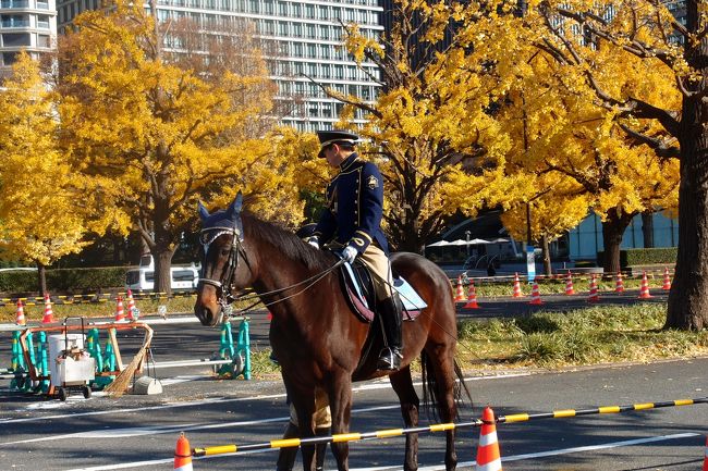 今年の紅葉は温暖化の影響かいつもは見事な紅葉を魅せてくれる香嵐渓でさえもなんだかおかしな具合<br /><br />気候ばっかりは致し方ないとは思いつつ　なんとなく寂しく思えた<br /><br />１２月に入り向かったお江戸では見事な紅葉が！<br /><br />思わぬ季節の思いがけないプレゼントに心浮かれた旅でした。<br /><br />三日目は皇居で紅葉狩り