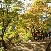 クラブツーリズム　香嵐渓～郡上八幡～白川郷～高山　1日目