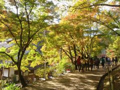 クラブツーリズム　香嵐渓～郡上八幡～白川郷～高山　1日目