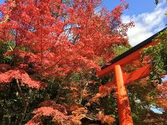 2015年 京都日帰り一人旅（旅行記なし）