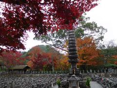 2015年　嵐山紅葉　～渡月橋から化野念仏寺～