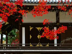 京都 仁和寺 紅葉 21051121