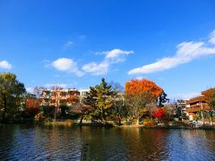 石神井公園の紅葉