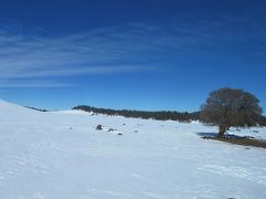 冬のモロッコ11日間の旅⑤フェズ～メルズーガ