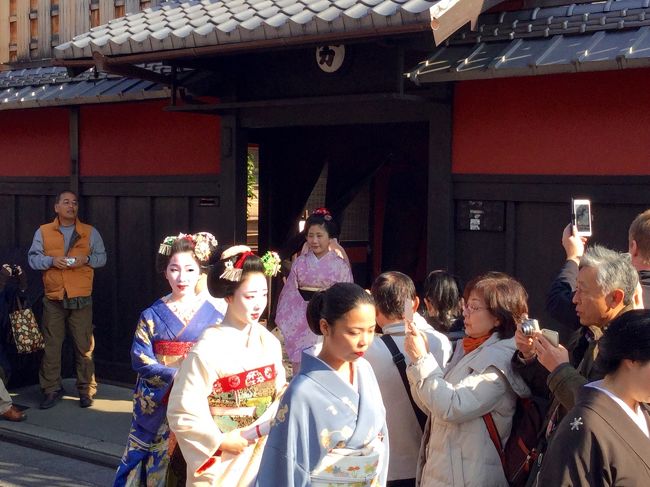 師走の13日、「事始め」ということで京都祇園では芸舞妓さんたちがお世話になったお師匠さんのもとへお礼参りされるとのこと、写真倶楽部からのお誘いもあり伺いました。が、そこで見た光景は。。。<br />午後からは気を取り直し、東山界隈にてキモノ姿の素人さん中心にパチパチ。<br />名残紅葉を愛でながらも、笑いの要素あり、久々に初冬の京を愉しんできました ^_^