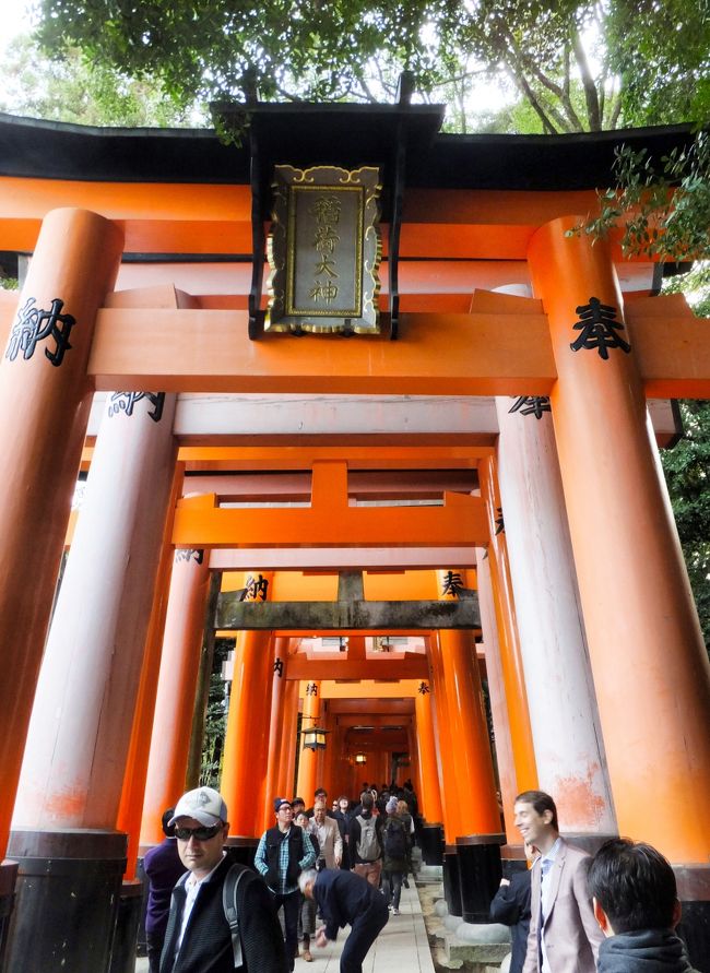 伏見稲荷へ行ってきました<br /><br />外国人に人気の日本の観光スポット2014」において京都の伏見稲荷大社が見<br /><br />事１位に選ばれています。