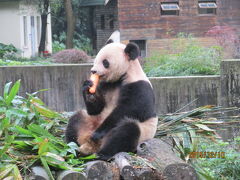 桂林の動物園