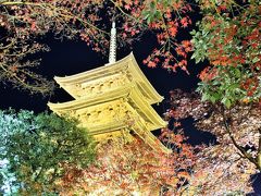 ライトアップに照らされた五重塔が想像以上の美しさ☆紅葉時期の東寺で秋を愛でる♪