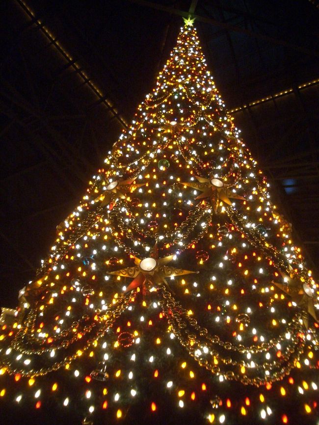 ひとりdisney 春の陽気のクリスマス In Tdl Part2 東京ディズニーリゾート 千葉県 の旅行記 ブログ By Reirei Tomさん フォートラベル ひとりdisney 春の陽気のクリスマス In Tdl Part2 東京ディズニーリゾート 千葉県 の旅行記 ブログ By Reirei Tomさん フォートラベル