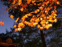 師走の京都、高台寺の雪月花