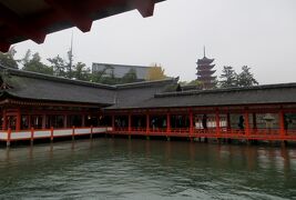 2015秋、厳島神社と出雲大社(4/17)：厳島神社(4)：海上の社殿、回廊、大鳥居