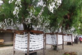 2015秋、厳島神社と出雲大社(14/17)：出雲大社(4)：瑞垣、お御籤掛、境内社、千家