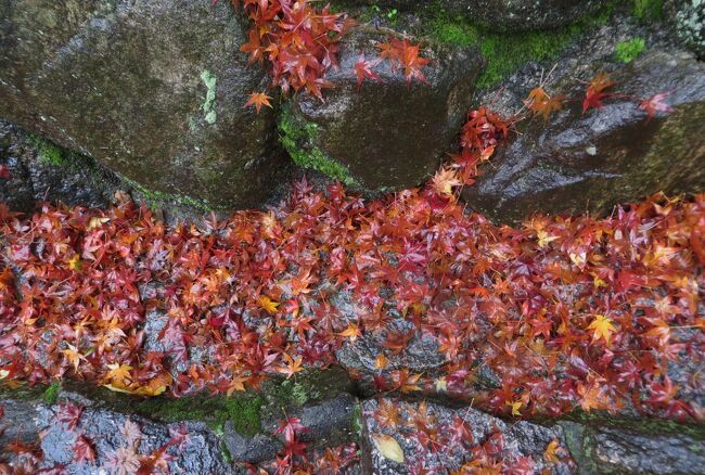 世界文化遺産の厳島神社紹介の締め括りです。国宝で世界遺産の建造物が有名ですが、平安時代に平家一門がその繁栄を願って厳島神社に奉納した、国宝の『平家納経』も価値が高いものです。『法華経』30巻、『阿弥陀経』1巻、『般若心経』1巻、平清盛自筆の願文1巻と、経箱・唐櫃からなります。