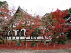 京都旅行 KYOTO ～ちょっと遅い紅葉狩り～