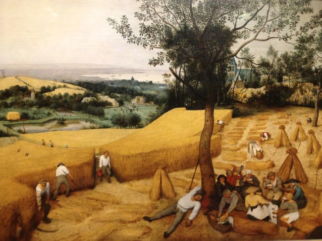 ブリューゲルをたずねる旅<br /><br />2012年11月6日<br />アメリカにはブリューゲル父が4点あります。<br />この4T旅行記はその中の1枚、ニューヨークのメトロポリタン美術館にある「収穫」「The Corn Harvest」1565の見学記です<br />1565年にブリューゲル父はアントワープの大金持ちのニコラスヨンゲンリンクの依頼で彼の居間を飾る絵を描きます。連作月暦画と呼ばれている作品たちです。季節のうつろいを主題に6枚の作品を制作しました。現存するのは5枚です。その1枚がこの「収穫」です。<br /><br />アメリカでは、ブリューゲル父の作品は、ニューヨークの他に、ワシントンDCのナショナルギャラリーに「聖アンソニーの誘惑」1557、サンディエゴのティムケンアートギャラリーに「種まく人のいる風景」同じく1557、そしてデトロイト市立美術館に「屋外の結婚式の踊り」1566があります。この3つはまだ見ていません。デトロイト市は財政破綻状態ですが美術館は運営されているようです。