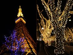 師走の街歩き　東京タワー・表参道のイルミネーション　Town walk in December/Tokyo Tower & Illuminatiom of Omotesando