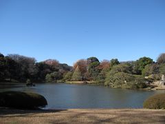 2015年12月　六義園（都立文化財９庭園②）を散策