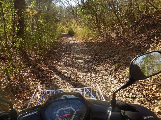 　修験道は一休みして林道バイクに挑戦。<br /><br />　先日、修験道の仕上げに役行者所縁の大和葛城山と金剛山にバイクで挑戦したのであるがバイクで走れる林道が見つからず敢え無く敗退。<br /><br />　神戸の北にある丹生神社には林道があり、車止めで進入できないようなのだが何事もやってみないと解らない、当たって砕けろ精神の持ち主であるドラゴンは取りあえず行ってみたのである。<br /><br />　バイクで行けなければ歩いて登るまでである。