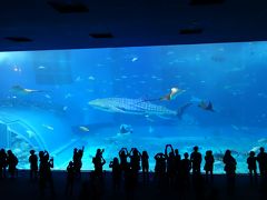 沖縄美ら海水族館は予想以上にすばらしかった。公園も広くていいですね。