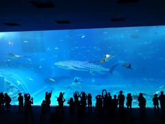 沖縄美ら海水族館は予想以上にすばらしかった。公園も広くていいですね。