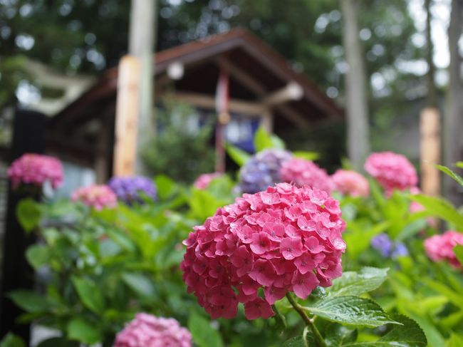 秩父神社の近くの神社をお参りして長瀞の宝登山神社へ向かいます。