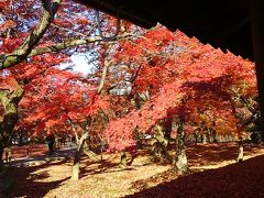 関西満喫の旅！『神戸・姫路・京都の旅』