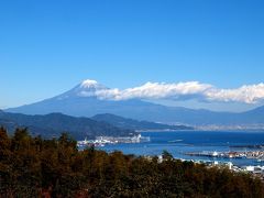 レッサーパンダに会いに日本平動物園に行こう！清水港でランチ　日本平で見る美しい富士山　最後はおふろcafe美肌湯でゆっくりする日帰り旅