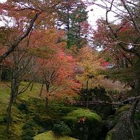 金・土で箱根 温泉一泊旅行