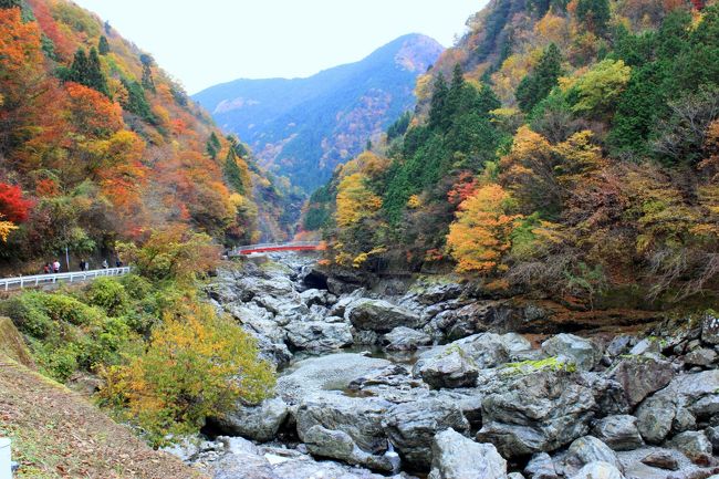 今年の紅葉はみたらい渓谷を歩いてみようと洞川温泉にお宿を取った。<br />ところが、宿泊予約の一週間前にTVのニュースで「今週いっぱいが見頃と...」<br />お天気は怪しい～午前中はもちこたえそうだ<br />とりあえず行ってみた～<br />ほんにみたらい渓谷の紅葉は色とりどりの色彩で溢れていたなぁ<br />洞川温泉の龍泉寺も見頃だとか<br />ではみたらい渓谷から洞川温泉まで歩こうか～