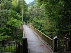 湯ヶ島・浄蓮の滝を訪れました