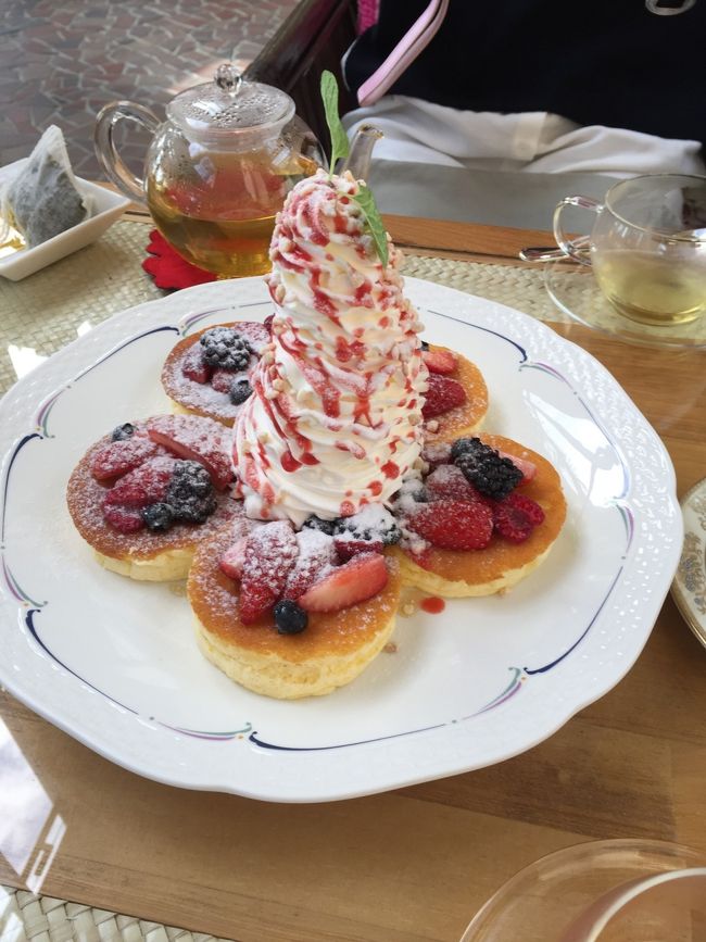 伊豆のハワイで王様のパンケーキ 大人にお勧めのバナナワニ園 静岡県の旅行記 ブログ By Flocons De Neigeさん フォートラベル