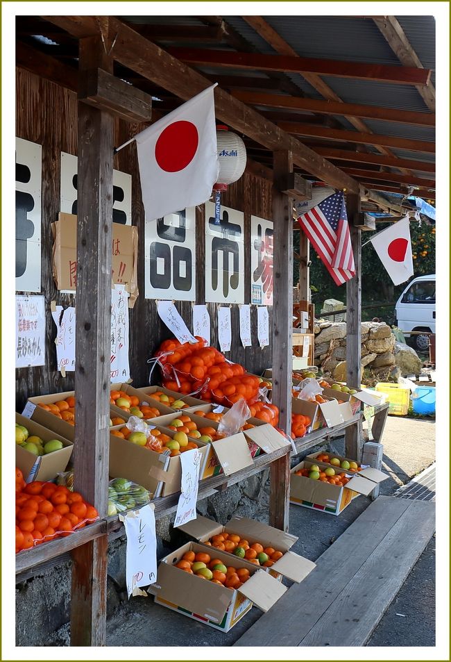 ■冬の瀬戸内ドライブ記〜上蒲刈島編／広島県呉市上蒲刈町<br /><br />∇上蒲刈島／広島県呉市蒲刈町<br />　瀬戸内海に浮かぶ呉市・上蒲刈島と下蒲刈島。<br />　下蒲刈島は、人口はおよそ１８００人です。古くから潮待ちの港として栄え、江戸時代には朝鮮通信使も寄港しました。島には、記念の資料館があります。<br />　一方の上蒲刈島は面積１８．８５平方キロメートルで人口はおよそ２７００人 、自慢は、長さ４００メートルの「県民の浜」。夏のシーズンともなると、およそ３万人が訪れ、「日本の渚・百選」にも選ばれています。<br />　上蒲刈島へは安芸灘大橋〜下蒲刈島〜蒲刈大橋と経由して本州から陸路で渡ることができます。<br /><br />【　手記　】<br />　下蒲刈島・上蒲刈島、いままで何度も何度も訪れて飽き飽きしてしまいそうなのですが、これがまた飽きないんですねー。年齢のせいか、ここ最近休日でも出かけることが少なくなって家ゴロばかりしております。気分転換、脳内リフレッシュ〜！冬の瀬戸内ドライブ記です。