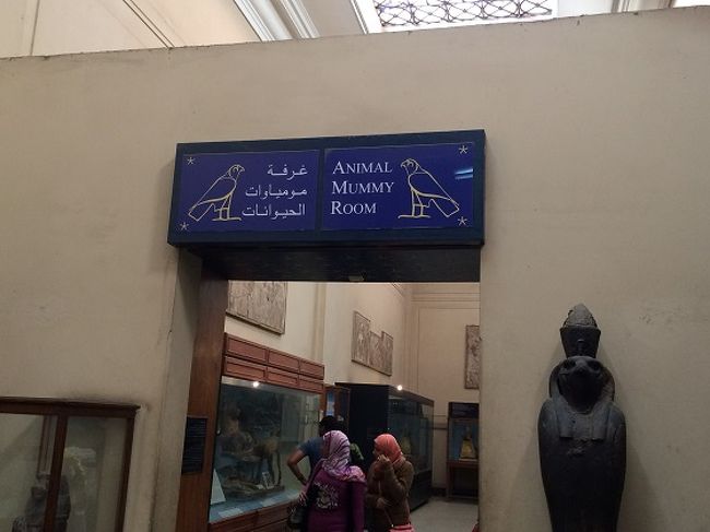 カイロよりこんにちは！<br /><br />本日のカイロは晴れ、最高気温22度・最低気温10度です。<br /><br />前回の旅行記の続きでエジプト考古学博物館内の写真を解説…ではなく感想付きでご紹介します。<br /><br />人間のミイラが展示されているミイラ室は別料金になり写真撮影もできませんが、動物のミイラ室は追加料金もかからず写真撮影もできます。